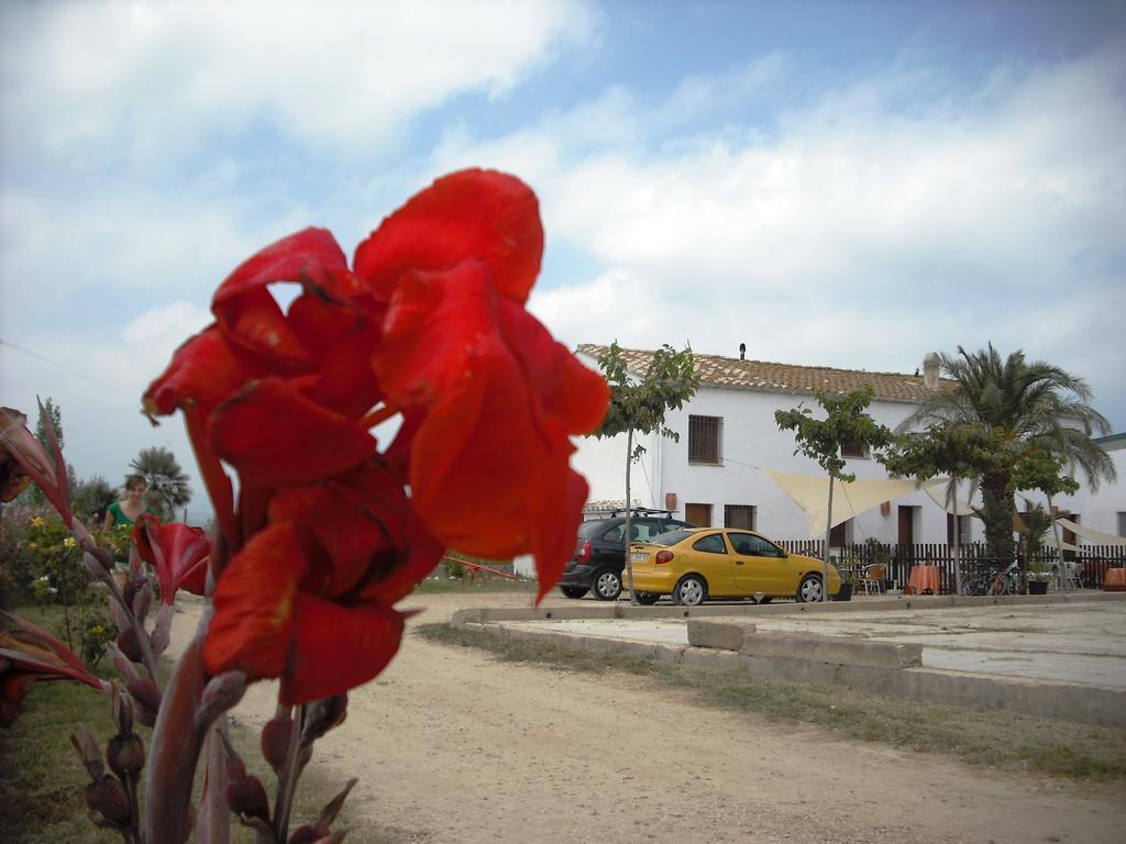 דלטברה Masia Llambrich מראה חיצוני תמונה